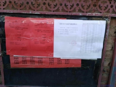 芝瑞镇各村公告正式代表候选人名单并再次公告选举时间和地点